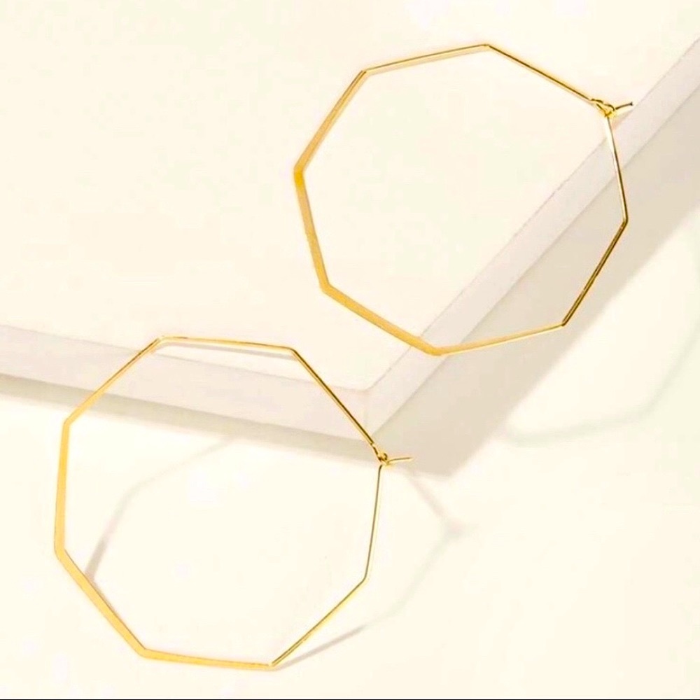 π3/$30 New Octagon Earrings - Picture 3 of 5